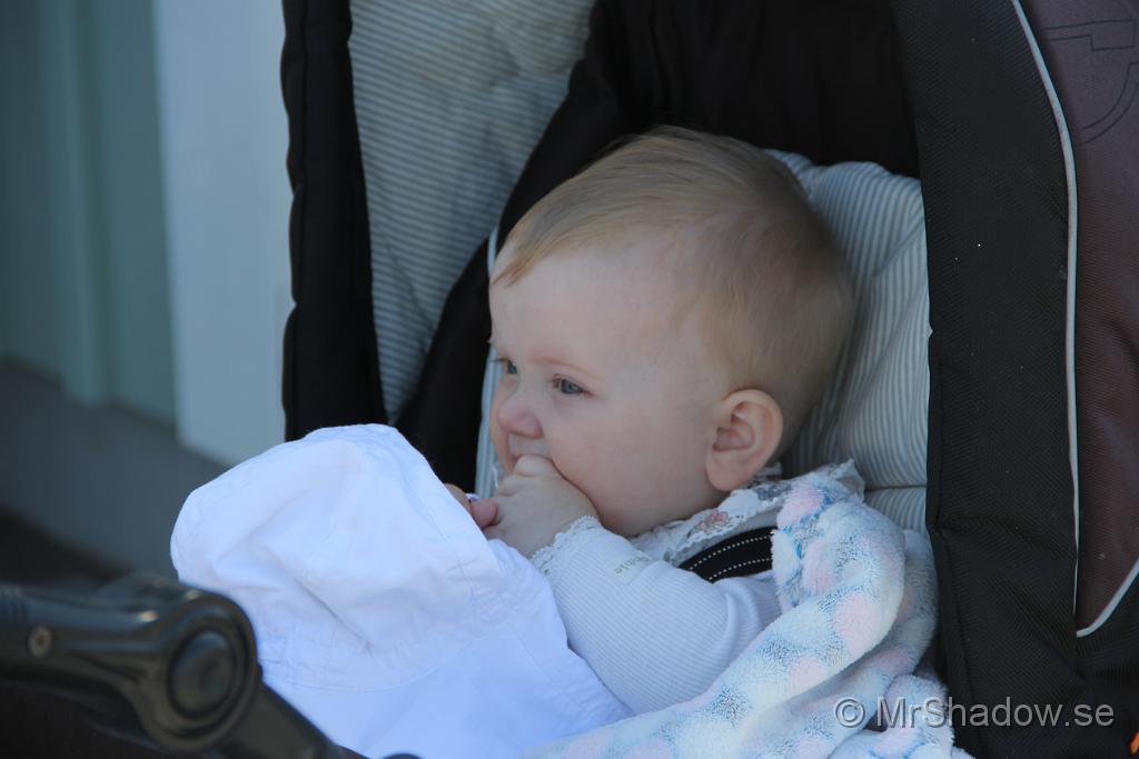 IMG_8294.JPG