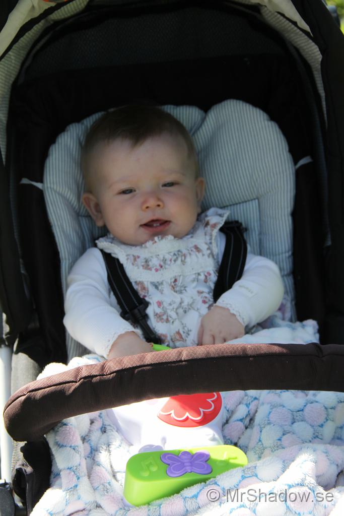 IMG_8345.JPG
