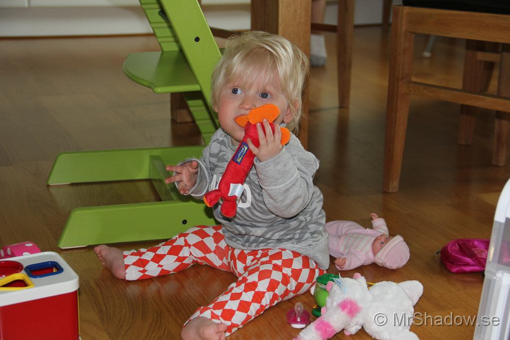IMG_8411.JPG