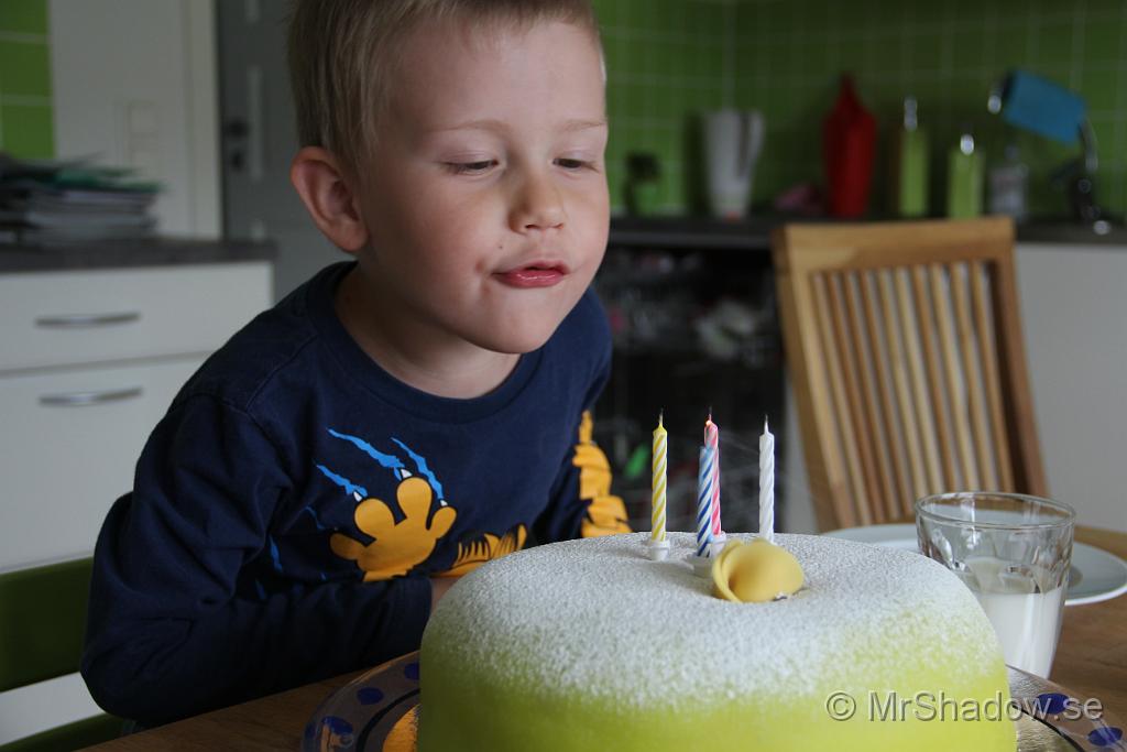 IMG_8419.JPG