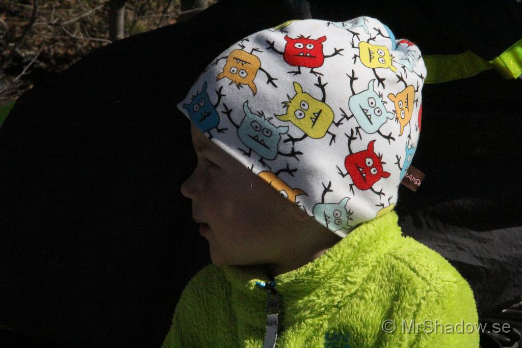 IMG_7833.JPG