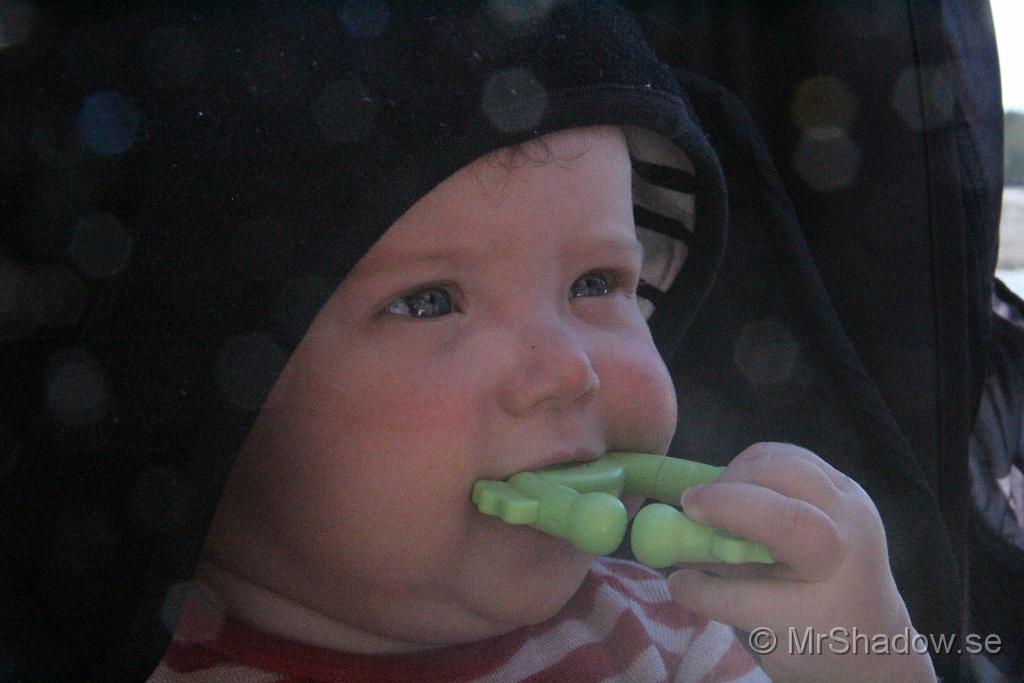 IMG_7884.JPG