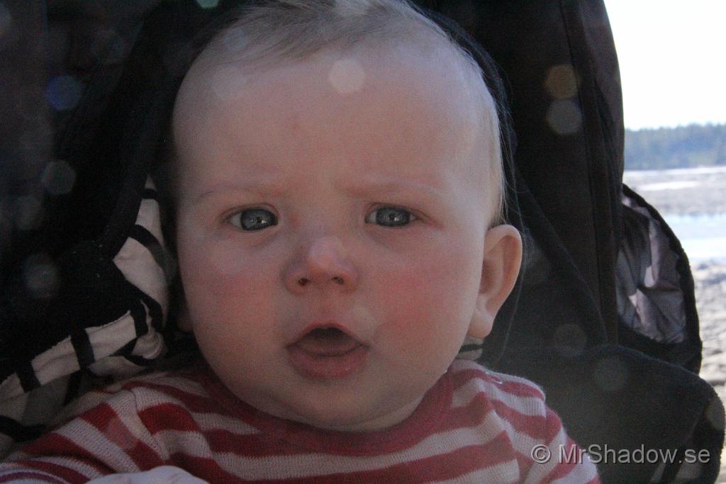 IMG_7888.JPG