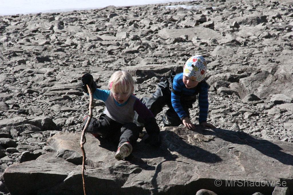 IMG_7901.JPG