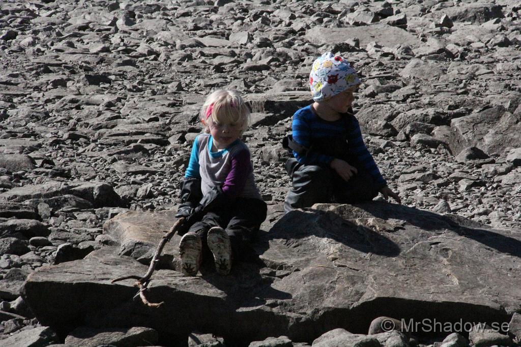 IMG_7902.JPG