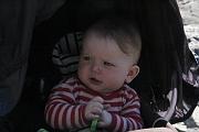 IMG_7929