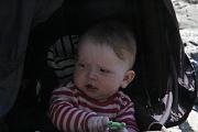 IMG_7930