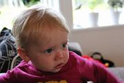 IMG_1317