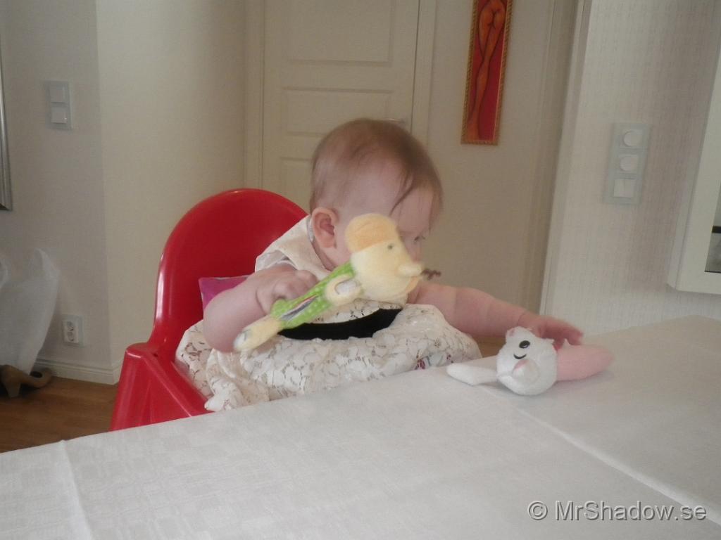 IMGP2618.JPG