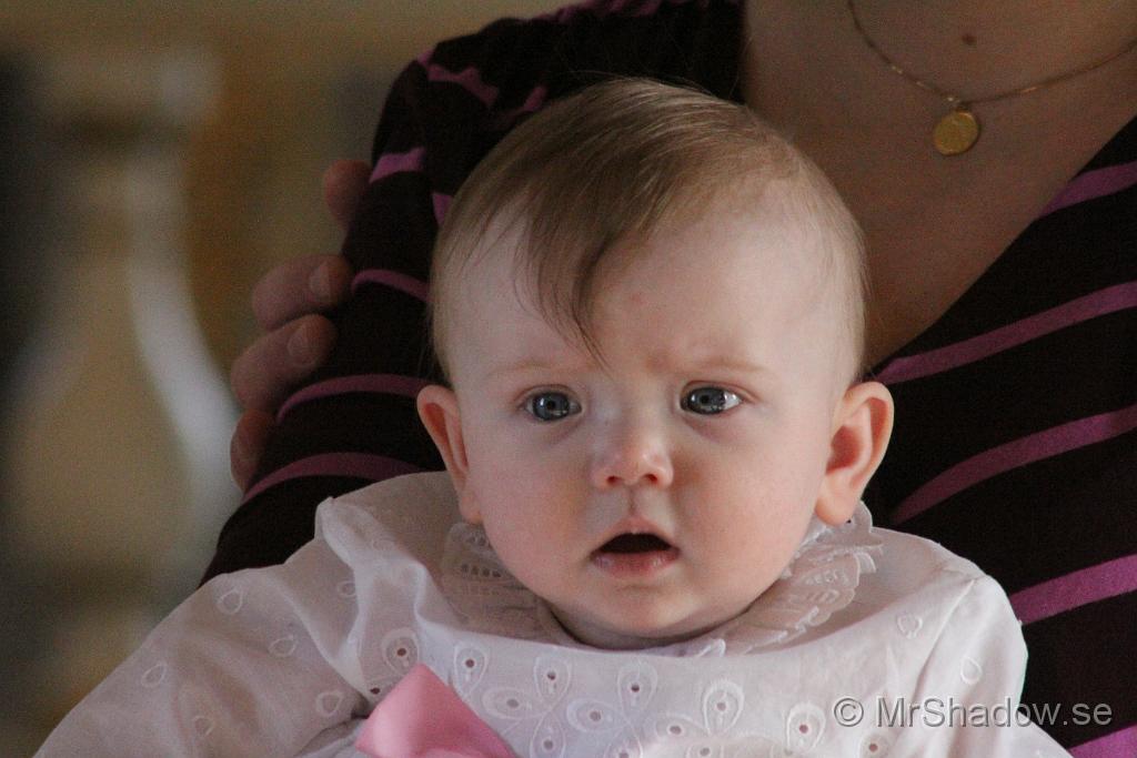 IMG_7693.JPG