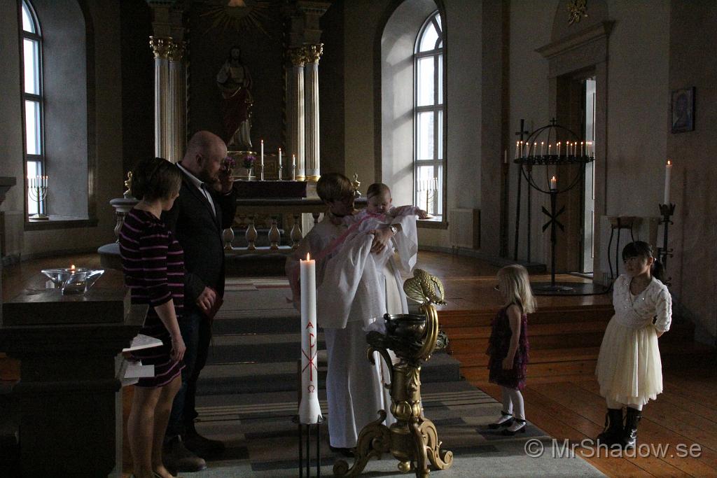 IMG_7709.JPG