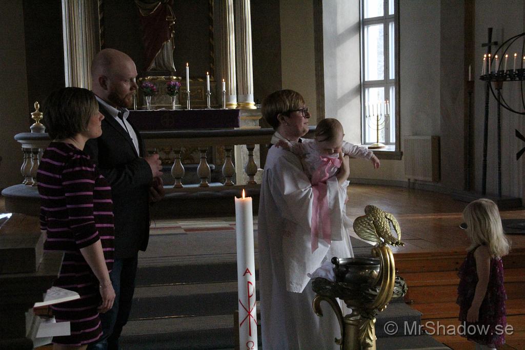 IMG_7710.JPG