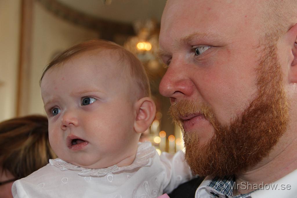 IMG_7773.JPG