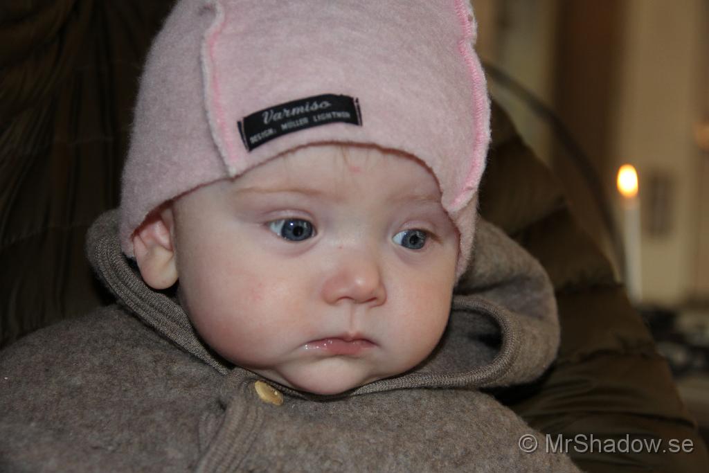 IMG_7774.JPG