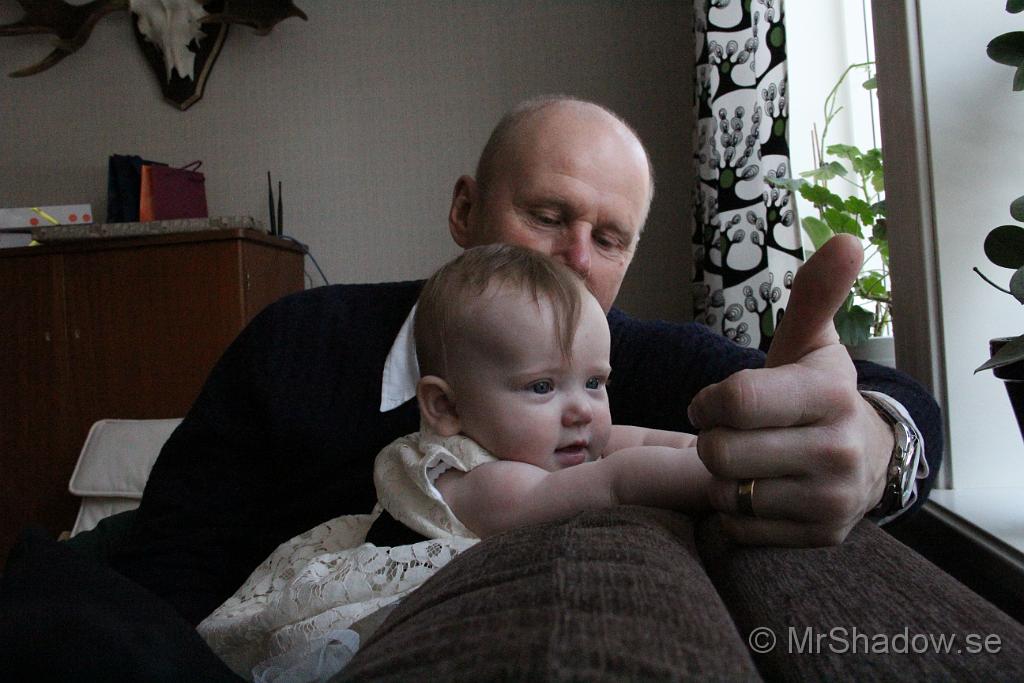 IMG_7795.JPG