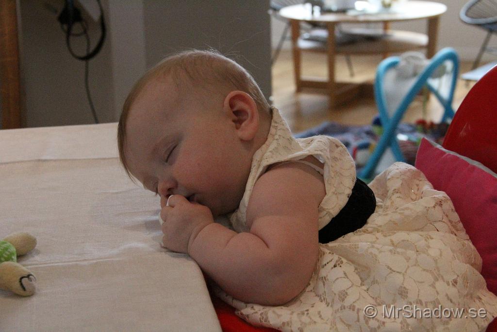 IMG_7796.JPG