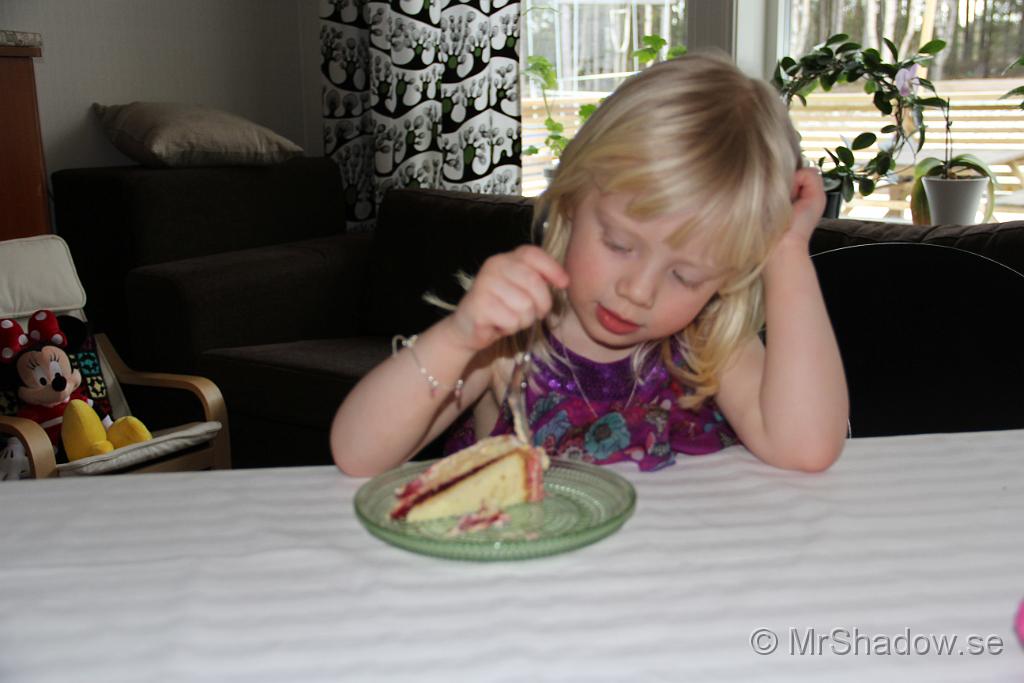 IMG_7804.JPG