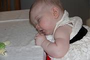 IMG_7800