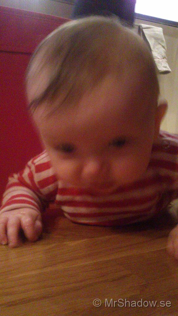 DSC_0581.jpg
