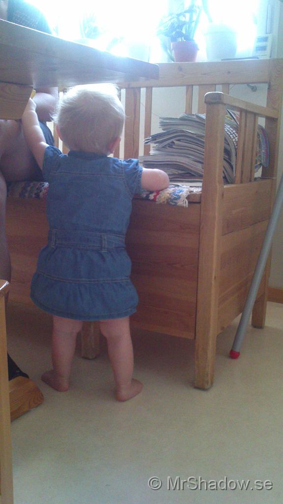 DSC_0849.jpg