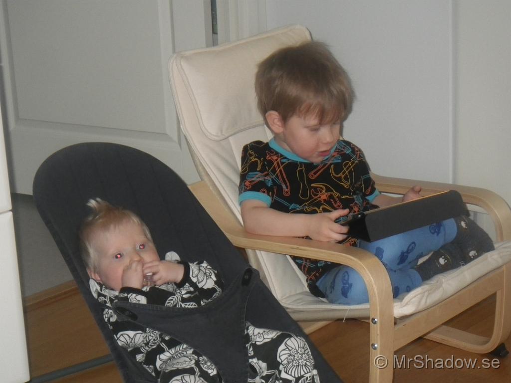 IMGP2591.JPG