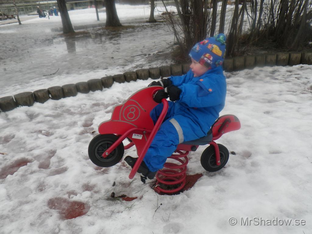 IMGP2614.JPG
