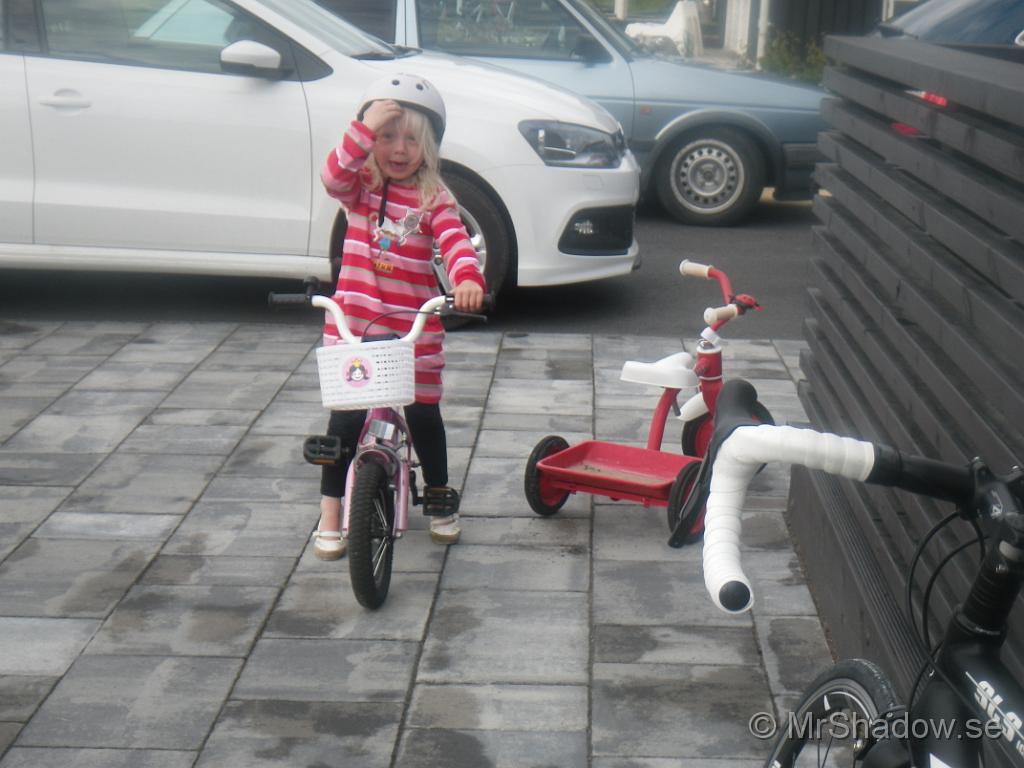 IMGP2744.JPG