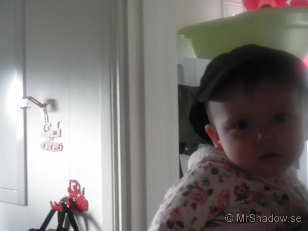 IMGP2745.JPG