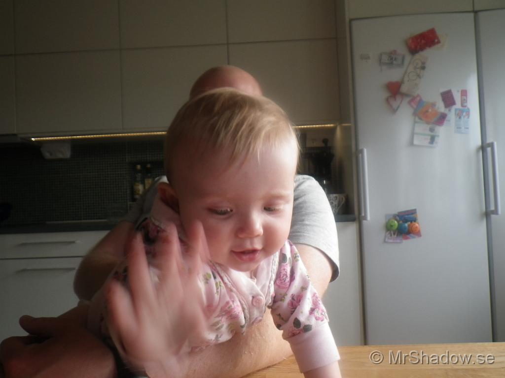 IMGP2746.JPG