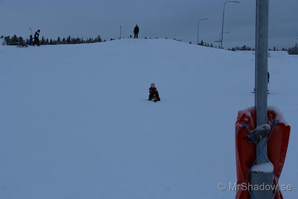 IMG_7517.JPG