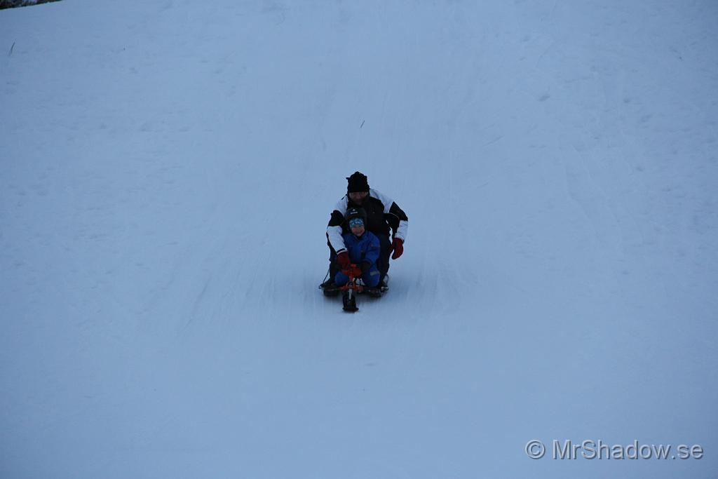 IMG_7525.JPG