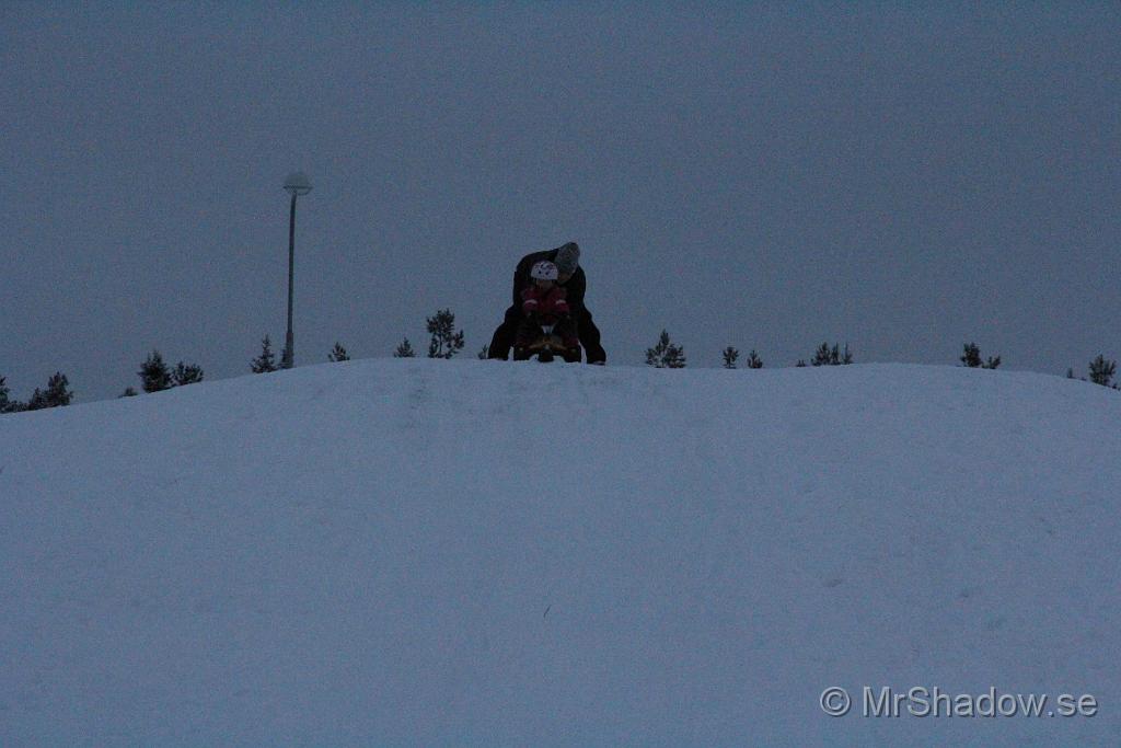 IMG_7533.JPG