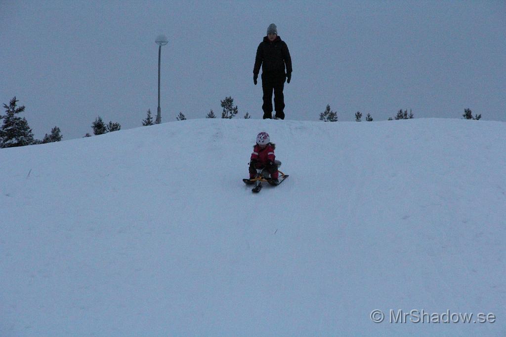 IMG_7536.JPG