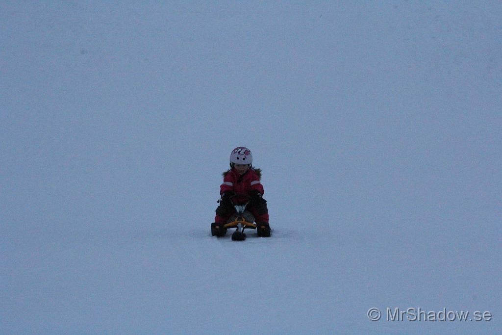 IMG_7541.JPG