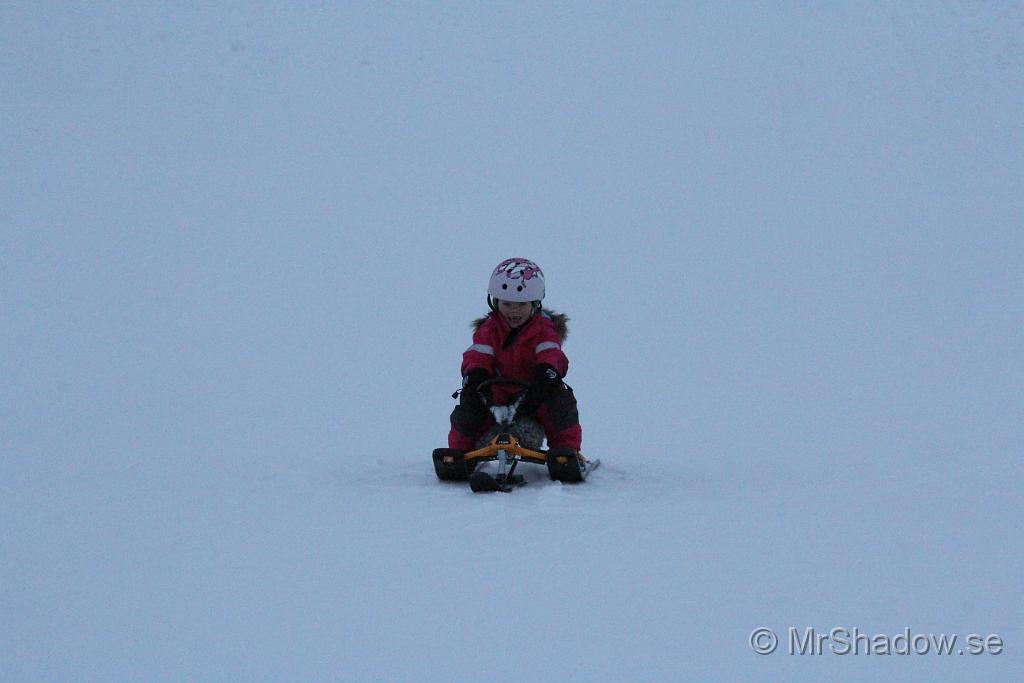 IMG_7542.JPG