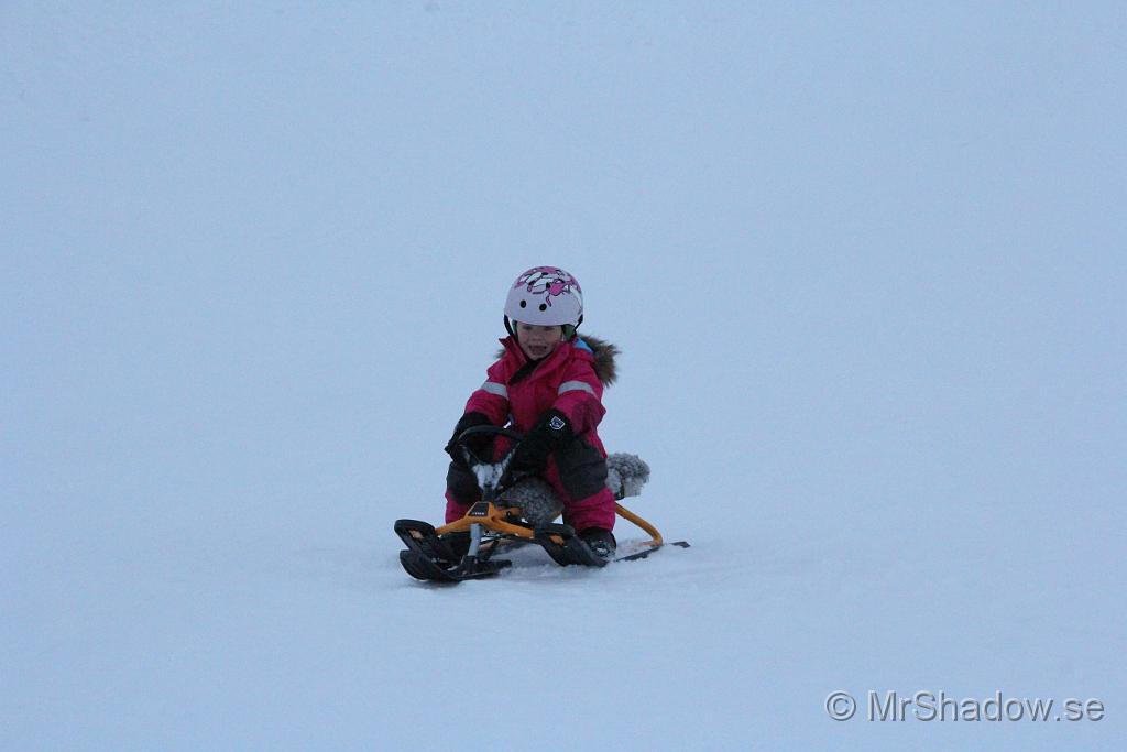 IMG_7543.JPG