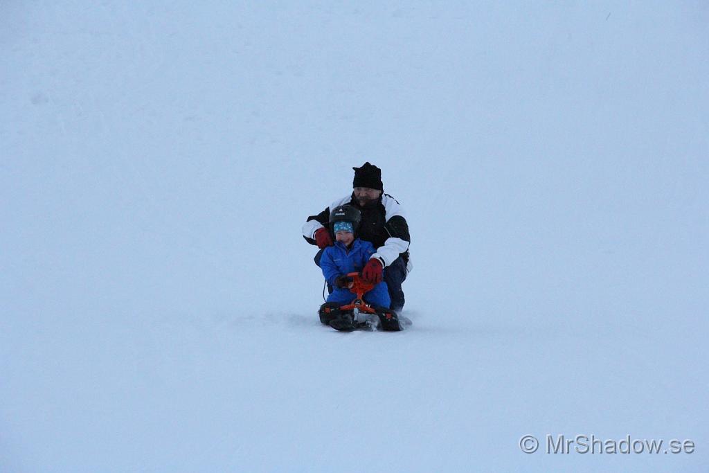IMG_7565.JPG