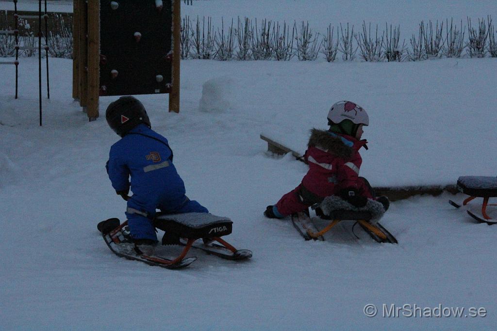 IMG_7569.JPG