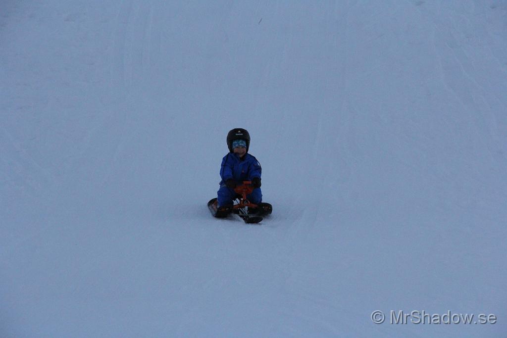 IMG_7592.JPG
