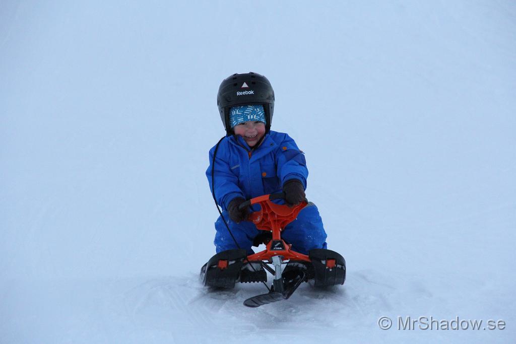 IMG_7593.JPG