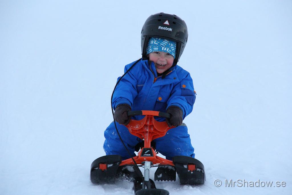 IMG_7595.JPG