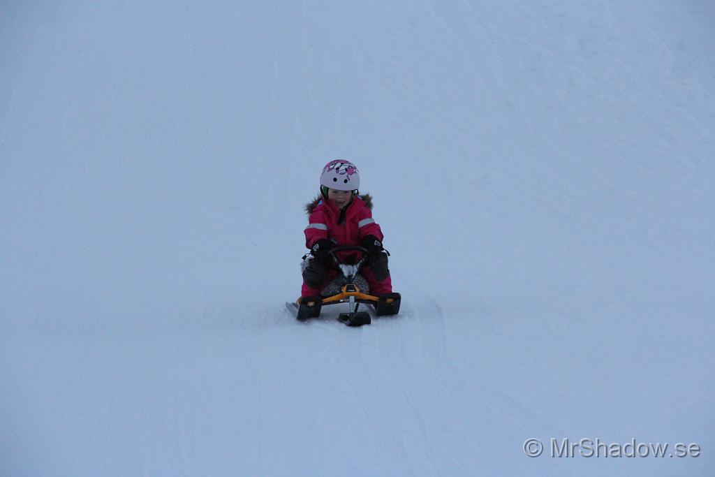 IMG_7597.JPG