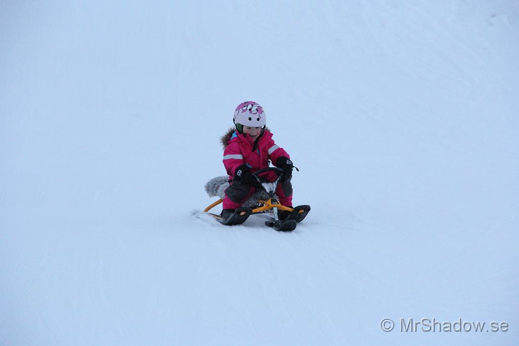IMG_7598.JPG