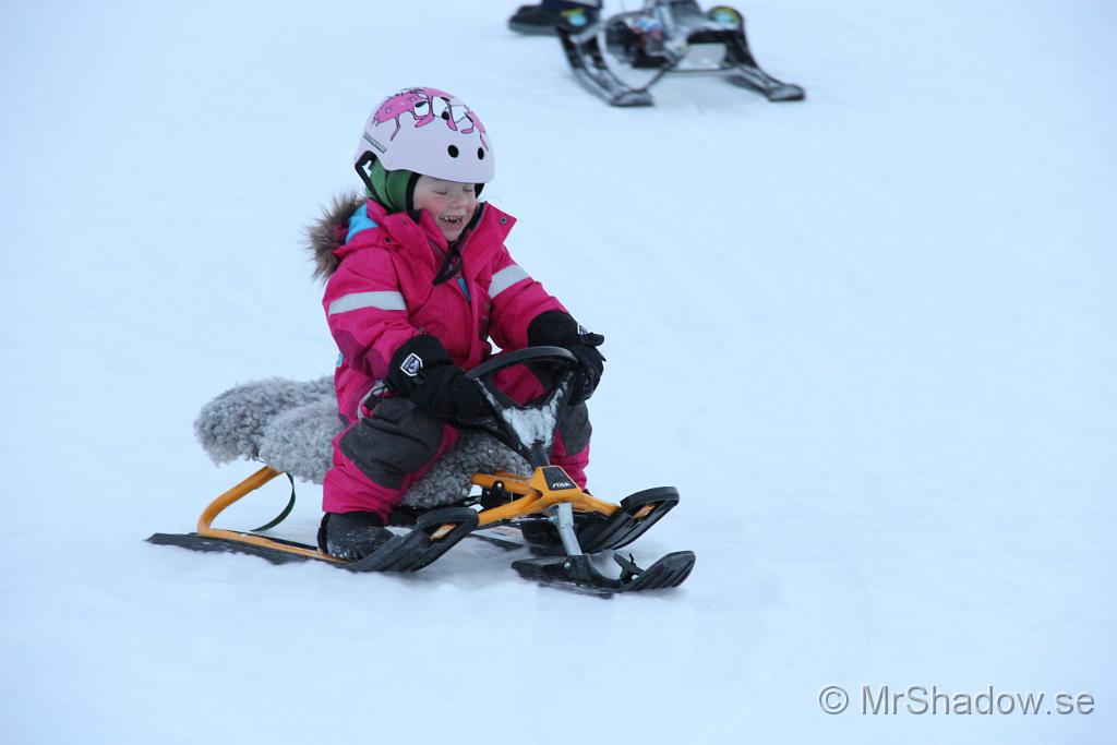 IMG_7600.JPG