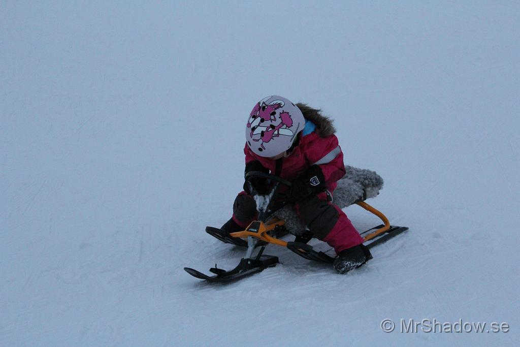 IMG_7623.JPG
