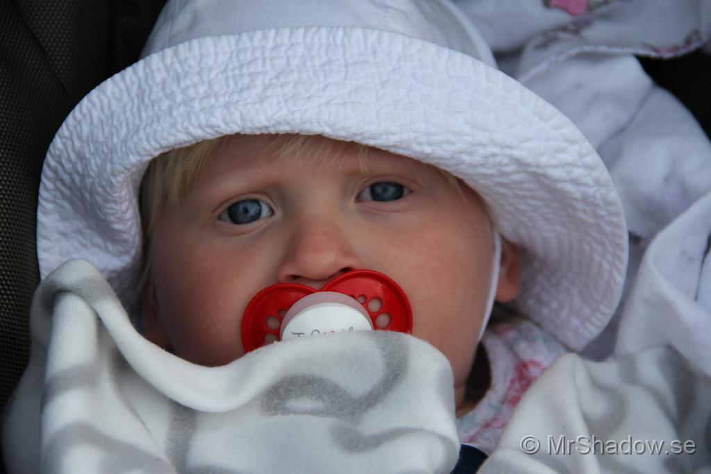 IMG_9631.JPG