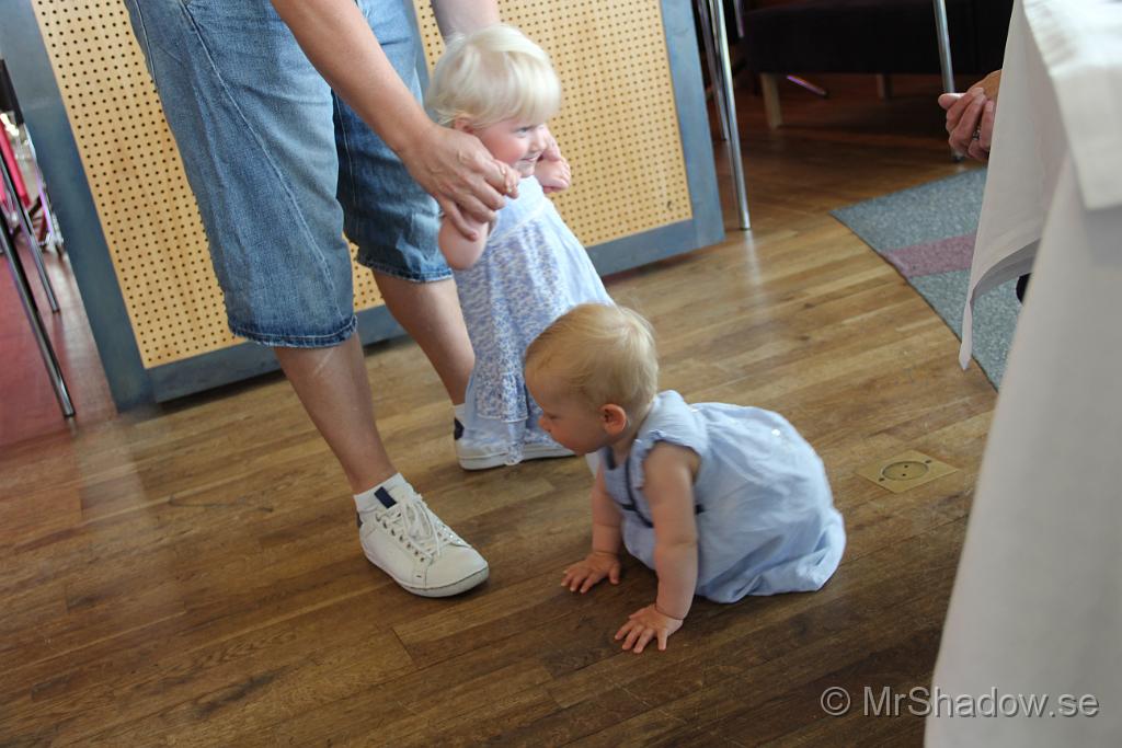 IMG_9805.JPG