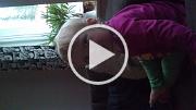 MOV_0982
