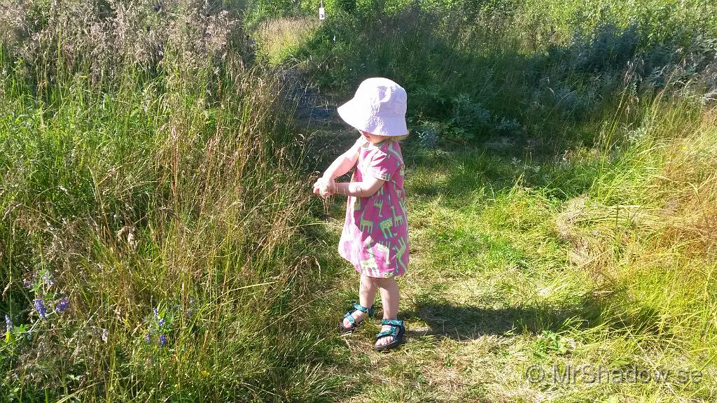 20150822_130839.jpg