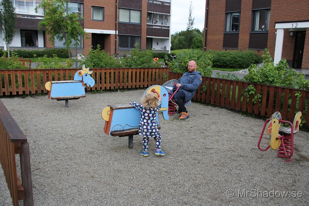 IMG_4774.JPG